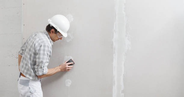 Best Drywall Removal and Disposal  in Garden City Park, NY